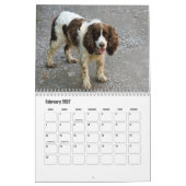 English Springer Spanel Calendar Kalender (Feb 2027)