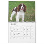 English Springer Spanel Calendar Kalender (Mär 2026)