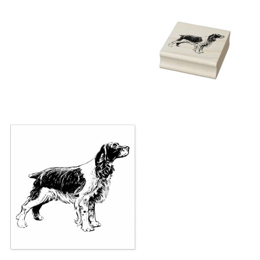 English Springer Spanel Dog Breed Gummistempel (Stempel)