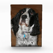 English Springer Spanel Dog Portrait Fotoblock (Vorderseite)