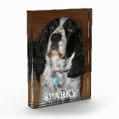 English Springer Spanel Dog Portrait Fotoblock (Links)