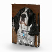 English Springer Spanel Dog Portrait Fotoblock (Rechts)