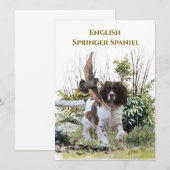 English Springer Spanel Einladung (Vorne/Hinten)