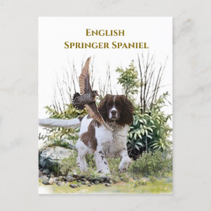 English Springer Spanel Einladungspostkarte