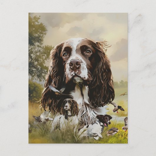 English Springer Spanel Feiertagspostkarte (Vorderseite)