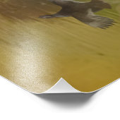 English Springer Spanel Fotodruck (Ecke)