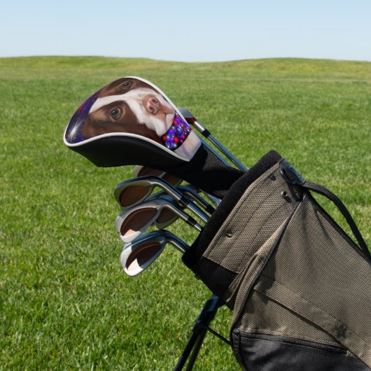 English Springer Spanel Golf Headcover (In SItu)