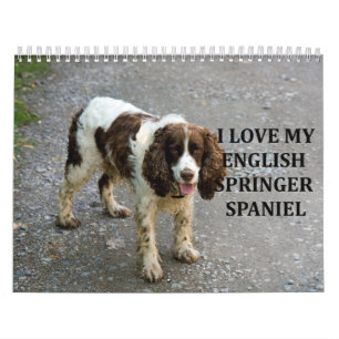 English Springer Spanel Kalender