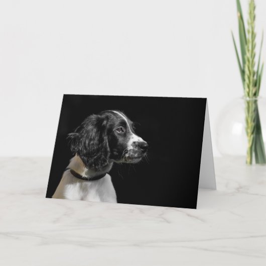 English Springer Spanel Karte (Vorderseite)