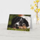 English Springer Spanel Karte (Gelbe Blume)