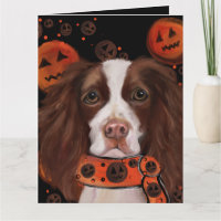 English Springer Spanel