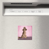 English Springer Spanel Magnet (In Situ (Geschirrspüler))