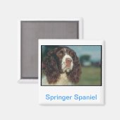 English Springer Spanel Magnet (Vorderseite/Rückseite)