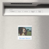 English Springer Spanel Magnet (In Situ (Geschirrspüler))