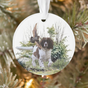 English Springer Spanel Ornament