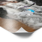 English Springer Spanel Pet Dog Fotodruck (Ecke)