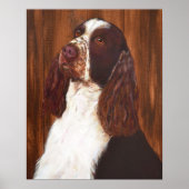 English Springer Spanel Poster (Vorne)