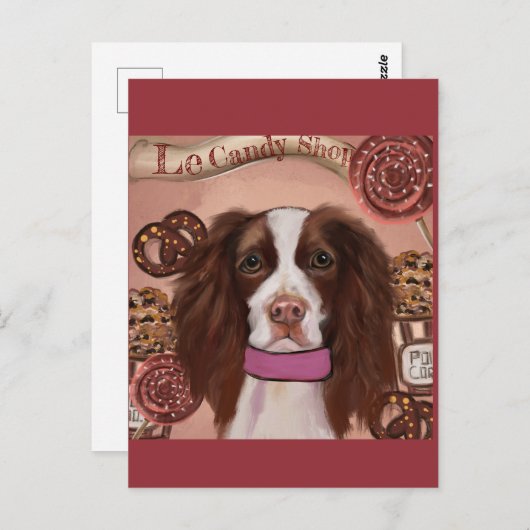 English Springer Spanel Postkarte (Vorne/Hinten)
