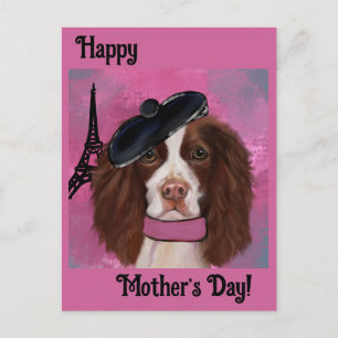 English Springer Spanel Postkarte