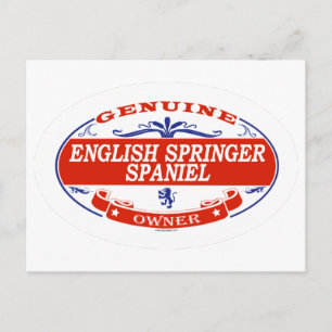 English Springer Spanel Postkarte