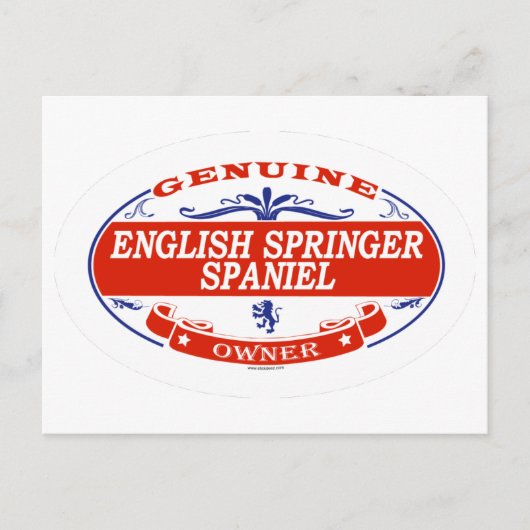 English Springer Spanel Postkarte (Vorderseite)