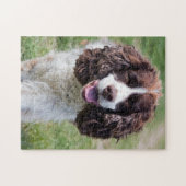 English Springer Spanel Puzzle (Horizontal)