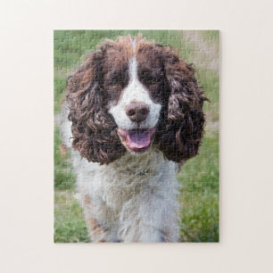 English Springer Spanel Puzzle