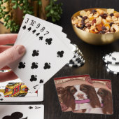English Springer Spanel Spielkarten (In Situ)