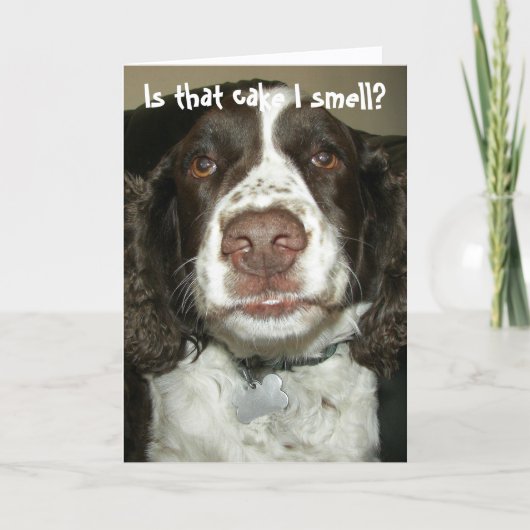 English Springer Spaniel Dog Funny Birthday Karte (Vorderseite)