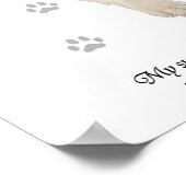 English Springer Spaniel Dog Poster (Ecke)