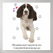 English Springer Spaniel Dog Poster (Vorne)