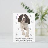English Springer Spaniel Dog Postkarte (Stehend Vorderseite)