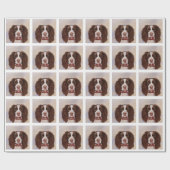 ENGLISH SPRINGER SPANIEL GESCHENKPAPIER (Flach)