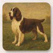 English Springer Spaniel Getränkeuntersetzer (Vorderseite)