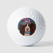 ENGLISH SPRINGER SPANIEL GOLFBALL (Vorderseite)