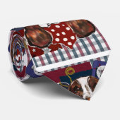 ENGLISH SPRINGER SPANIEL KRAWATTE (Gerollt)