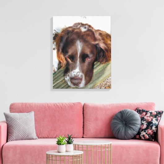 ENGLISH SPRINGER SPANIEL LEINWANDDRUCK (Insitu (Wohnzimmer))