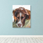 ENGLISH SPRINGER SPANIEL LEINWANDDRUCK (Insitu (Holzboden))