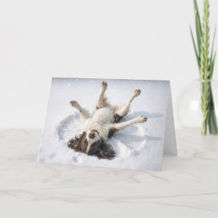 English Springer Spaniel macht einen Schneengel Feiertagskarte
