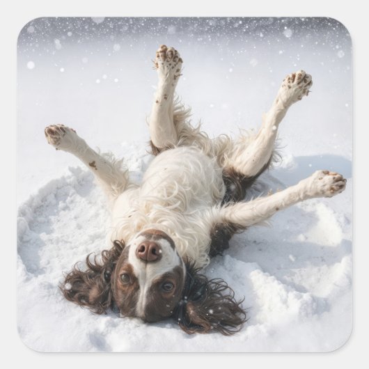 English Springer Spaniel Making a Snow Angel Quadratischer Aufkleber (Vorderseite)