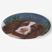 ENGLISH SPRINGER SPANIEL PAPPTELLER (Schrägansicht)