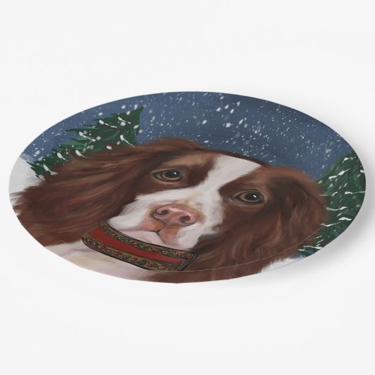 ENGLISH SPRINGER SPANIEL PAPPTELLER (Schrägansicht)