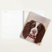 ENGLISH SPRINGER SPANIEL PLANER (Anzeige)