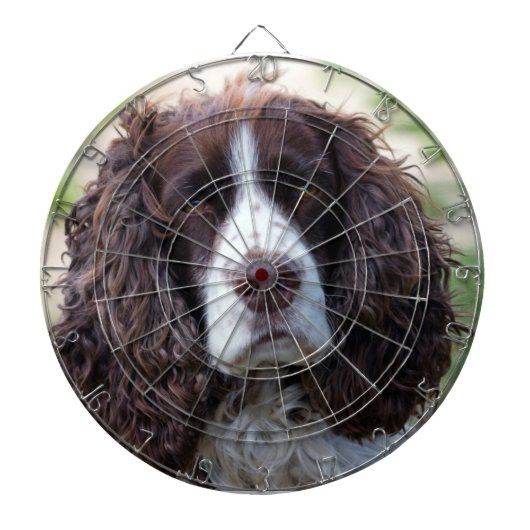 english springer spaniel.png dartscheibe (vorne)