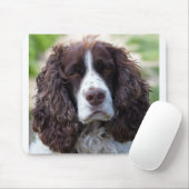english springer spaniel.png mousepad (Mit Mouse)