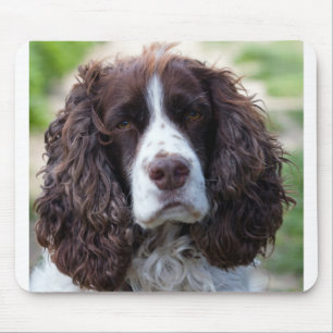 english springer spaniel.png mousepad