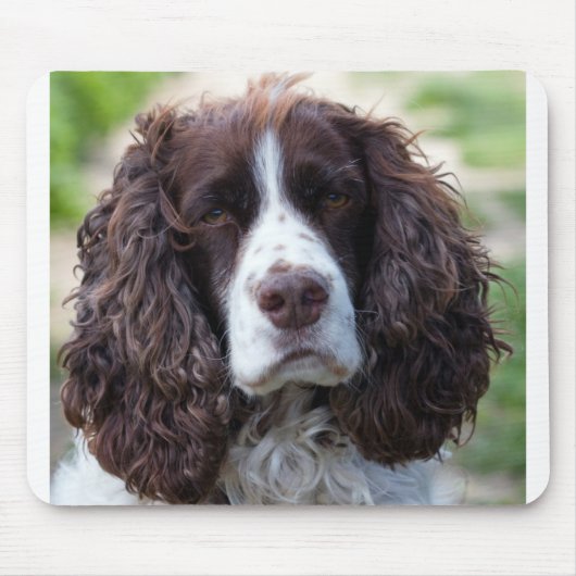 english springer spaniel.png mousepad (Vorne)