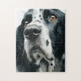 English springer spaniel portrait with ticking puzzle