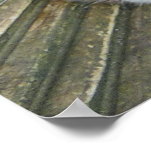 ENGLISH SPRINGER SPANIEL POSTER (Ecke)