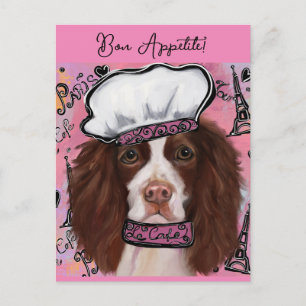 English Springer Spaniel    Postkarte
